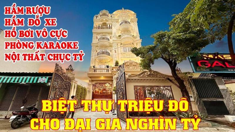Bán biệt thự mới xây đường Phan Huy Ích p12 vip nhất Gò Vấp, DT 8*25