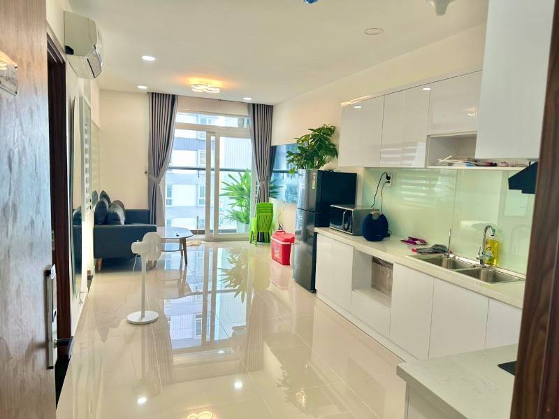 Cho thuê căn hộ cao cấp mới 100% đường Lý Chiêu Hoàng , trung tâm Q6.