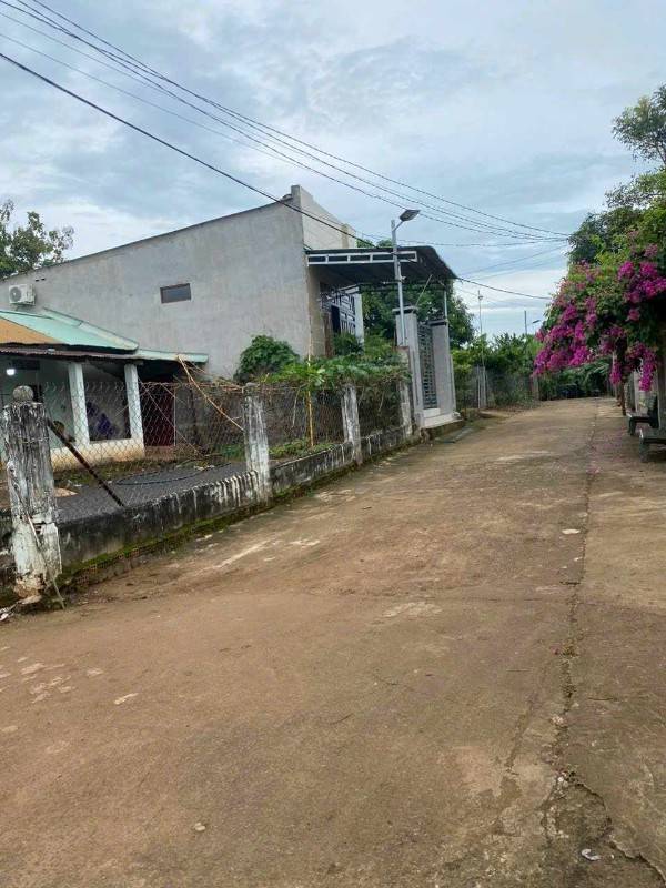 Bán Nhà + Đất 333m, xã Thanh Bình, huyện Trảng Bom, tỉnh Đồng Nai