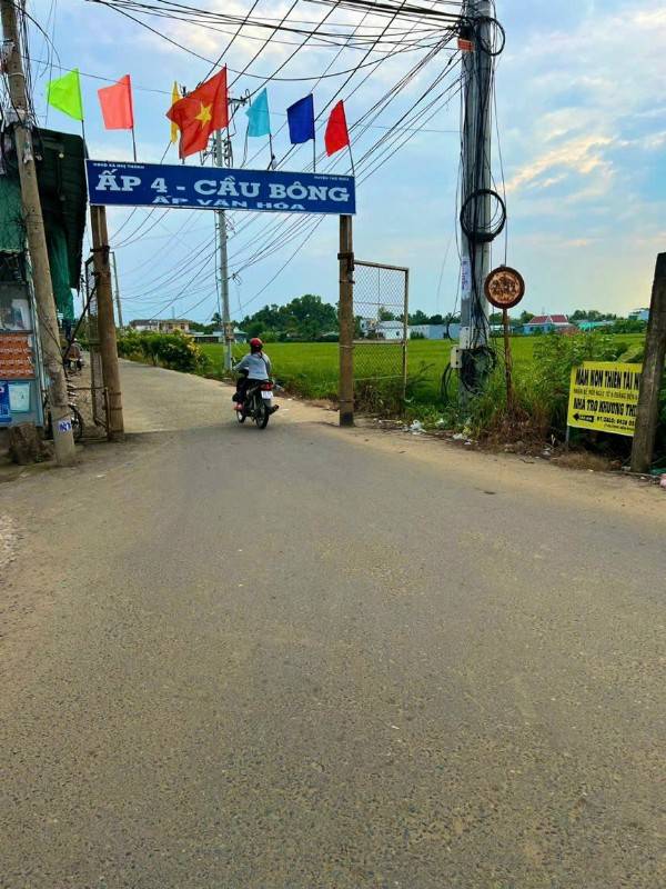 Cần bán 176mv thổ cư đường đan 3m Nhị Thành Thủ Thừa LA