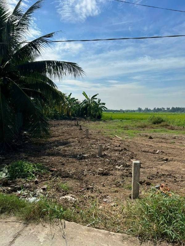Cần bán 176mv thổ cư đường đan 3m Nhị Thành Thủ Thừa LA