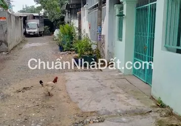 Cho thuê nhà gần chợ ngã 4 Tân Quy, 342C đường Nguyễn  Kim Cương
